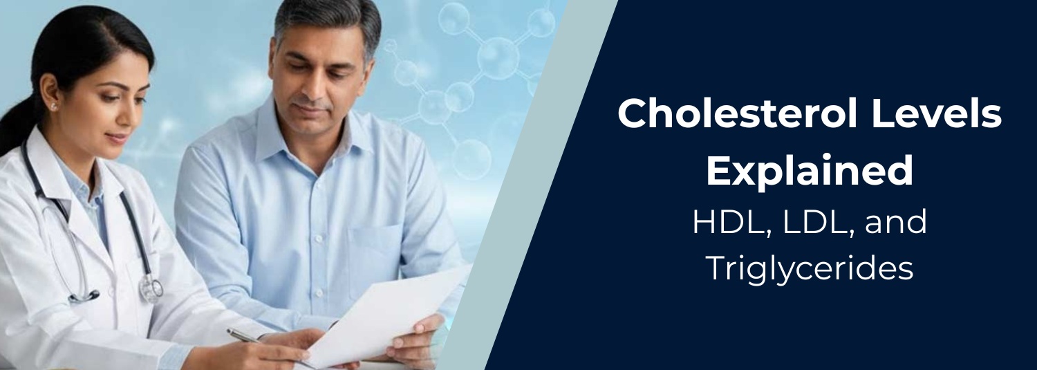 Cholesterol Levels Explained: HDL, LDL, and Triglycerides