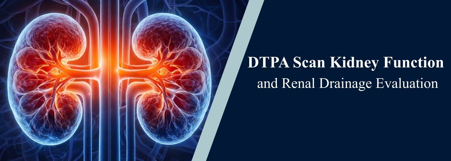 DTPA Scan Kidney Function and Renal Drainage Evaluation
