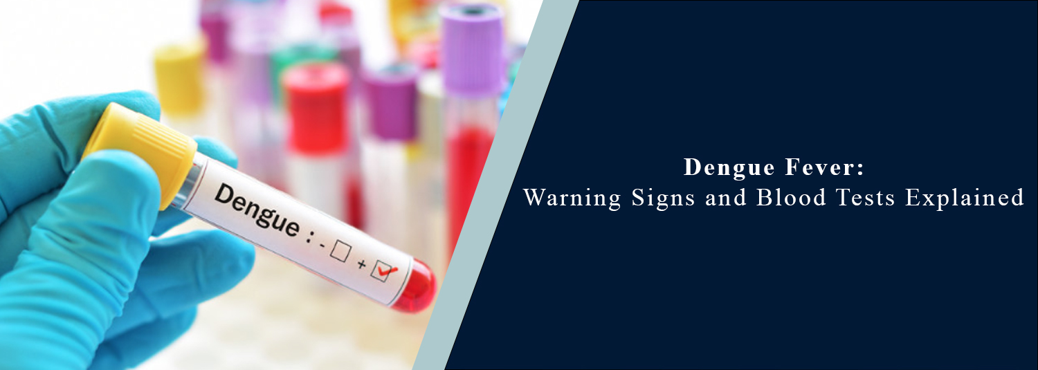 Dengue Fever: Warning Signs and Blood Tests Explained