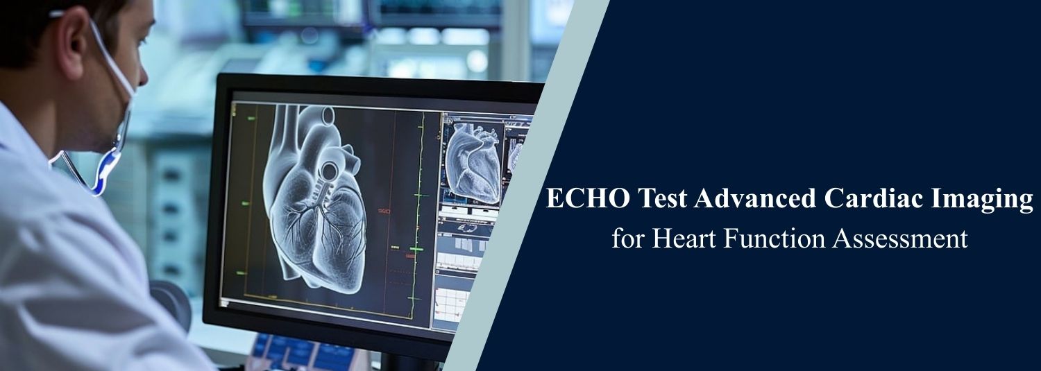 ECHO Test Advanced Cardiac Imaging for Heart Function Assessment
