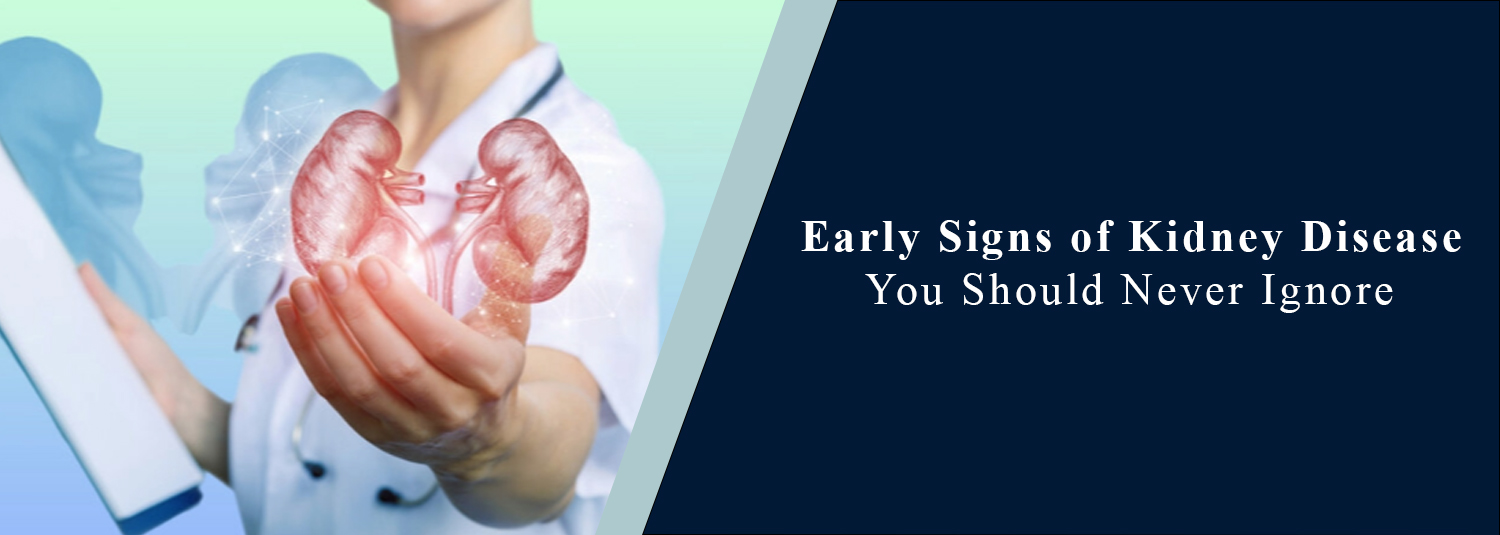 Early Signs of Kidney Disease You Should Never Ignore