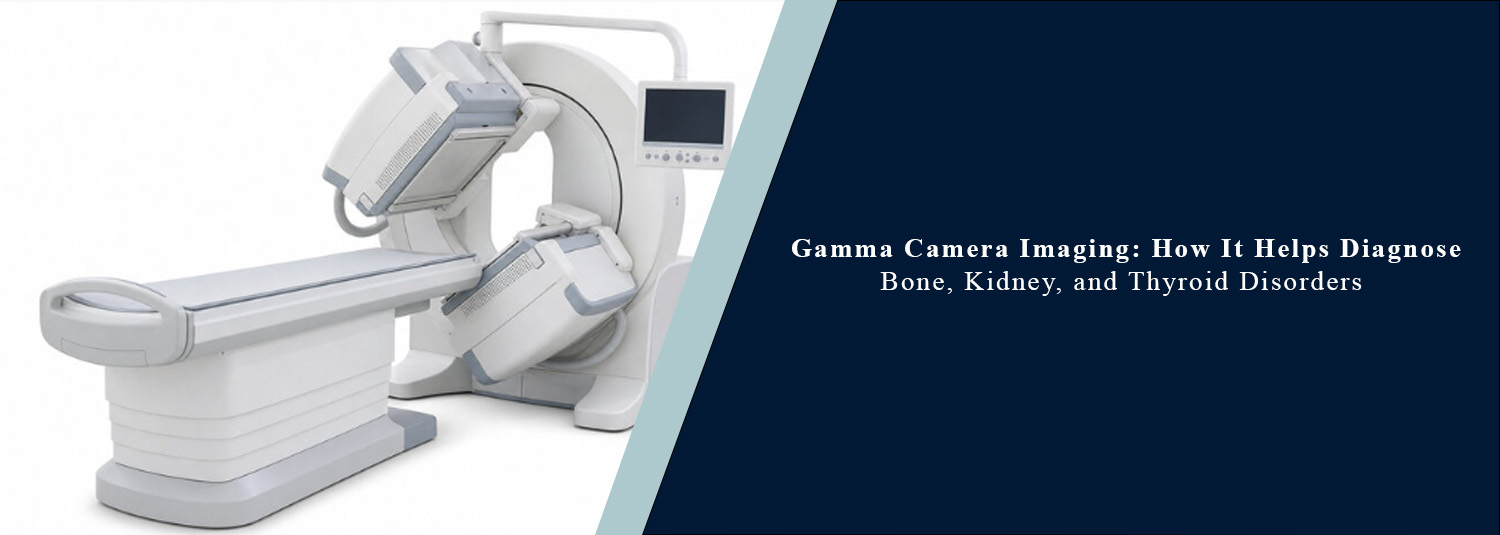 Gamma Camera Imaging: How It Helps Diagnose Bone, Kidney, and Thyroid Disorders