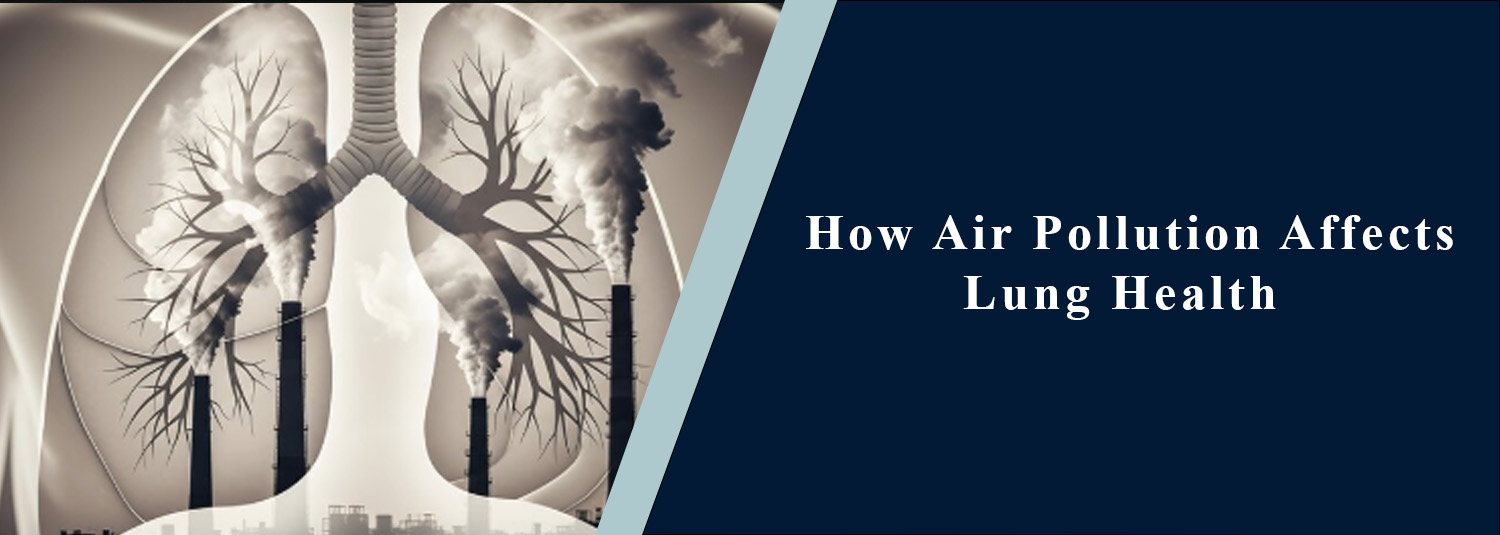 How Air Pollution Affects Lung Health?