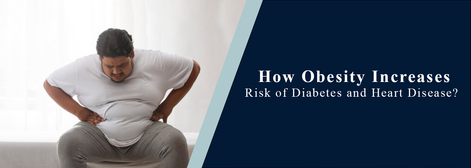 How Does Obesity Increase the Risk of Diabetes and Heart Disease?
