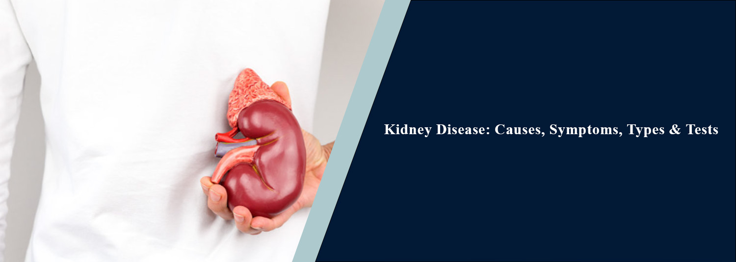 Kidney Disease: Causes, Symptoms, Types & Tests