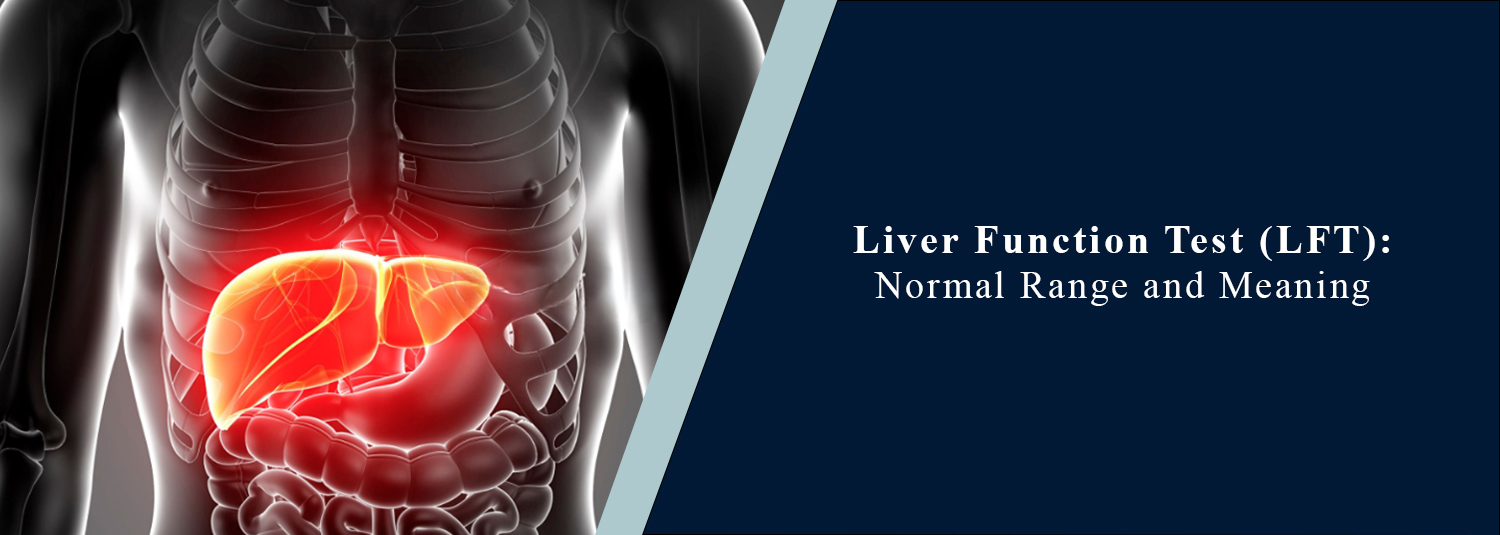 Liver Function Test (LFT): Normal Range and Meaning