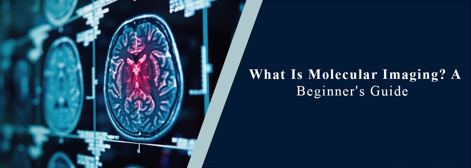 What Is Molecular Imaging? A Beginner's Guide