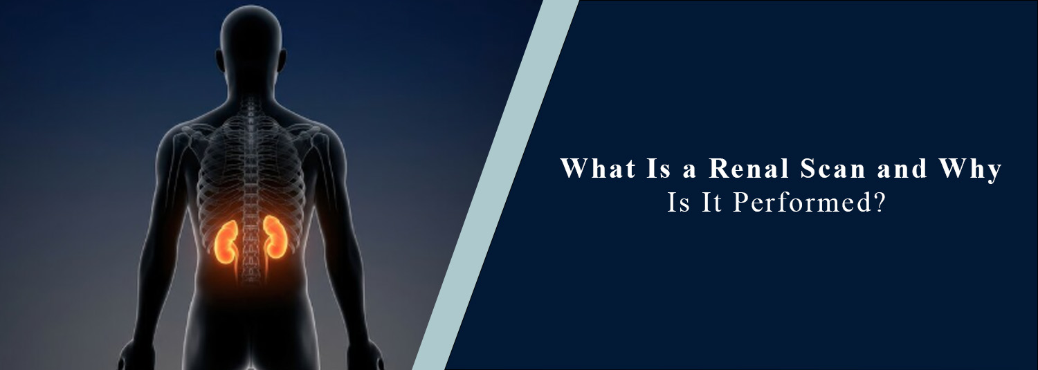 What Is a Renal Scan and Why Is It Performed?