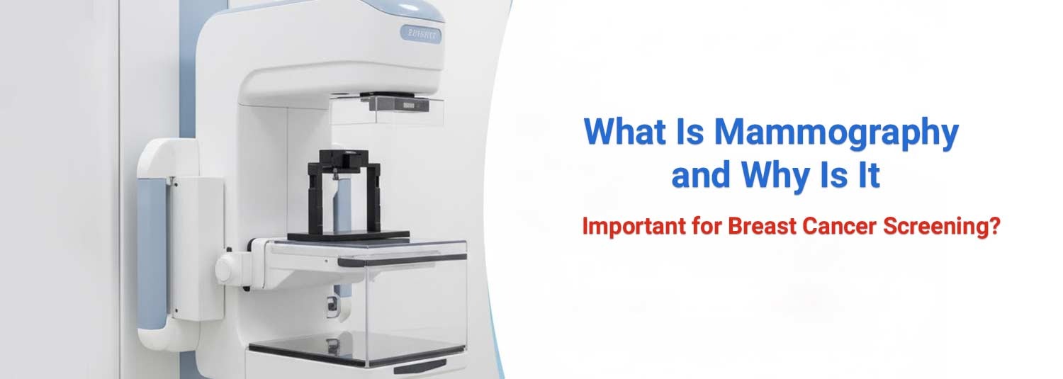 What Is Mammography and Why Is It Important for Breast Cancer Screening?