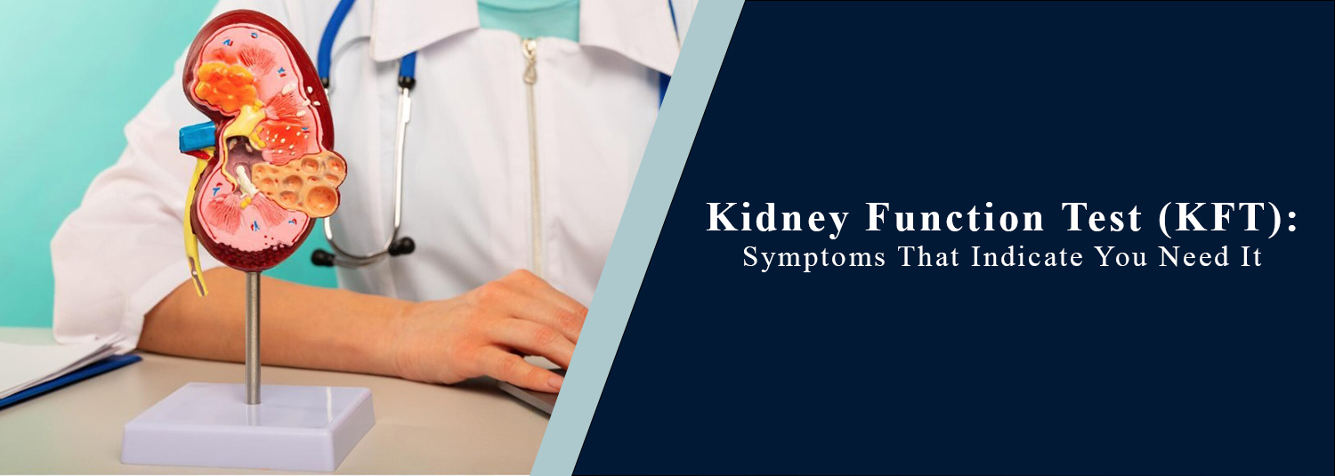Kidney Function Test (KFT): Symptoms That Indicate You Need It