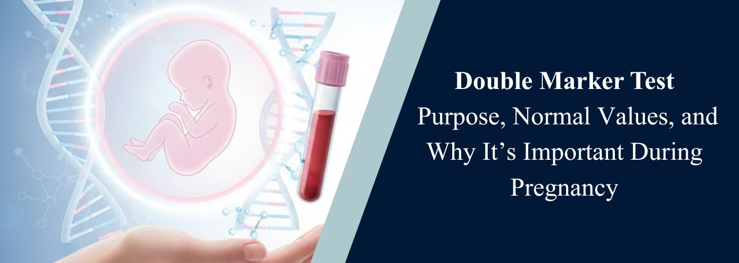 Double Marker Test: Purpose, Normal Values, and Why It’s Important During Pregnancy