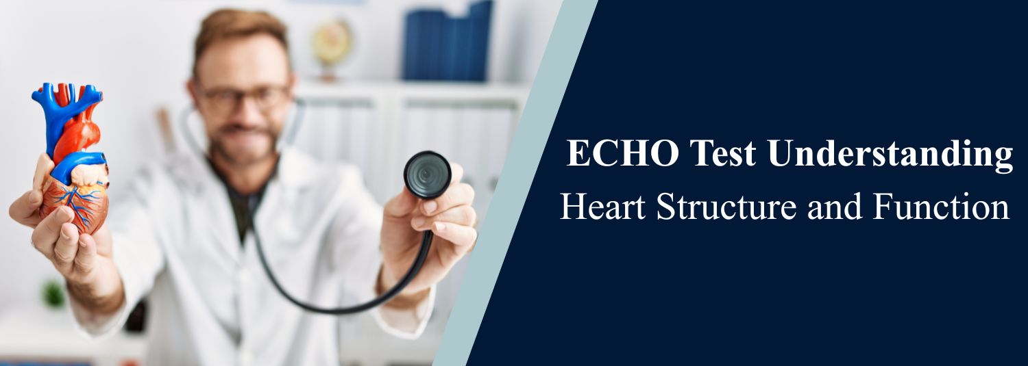ECHO Test Understanding Heart Structure and Function