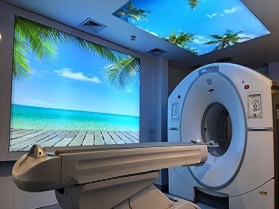 Molecular Diagnostics and Therapy – Ghaziabad