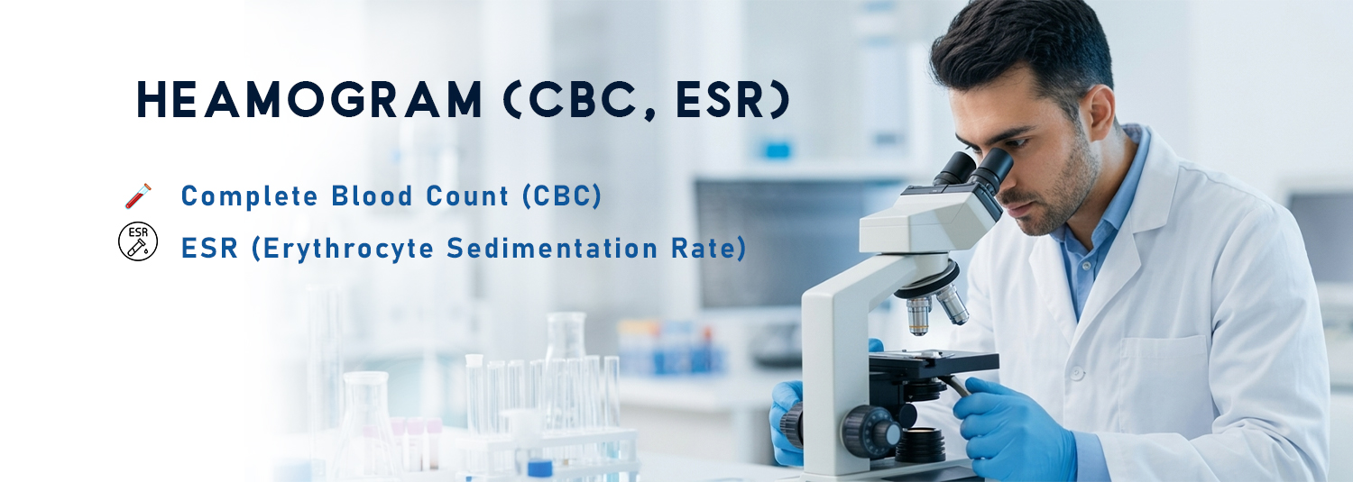 Heamogram (CBC, ESR)