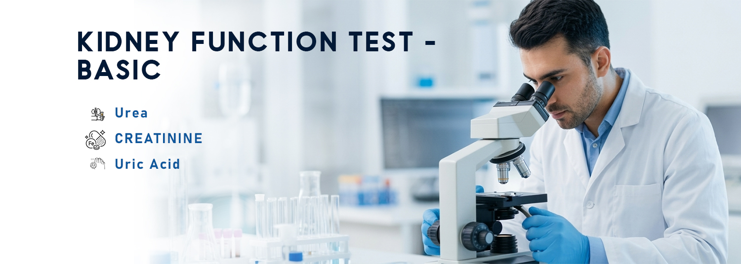 Kidney Function Test - Basic