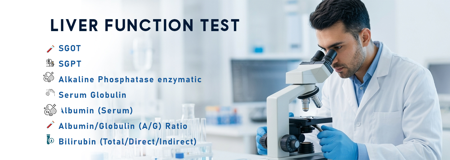 Liver Function Test