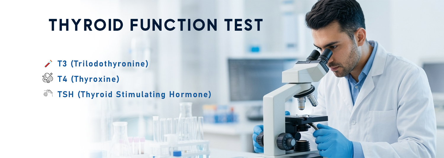 Thyroid Function Test