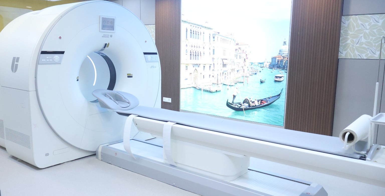 Medical Professionals